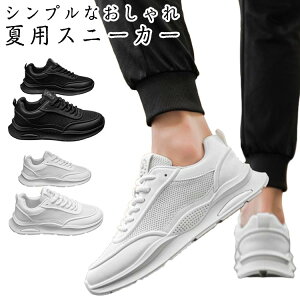 Xj[J[  Y C bV ʋC V[YX|[c ~ y Vv JWA ^C jO X|[c  gh EH[LO WMO tBbglX ʋ