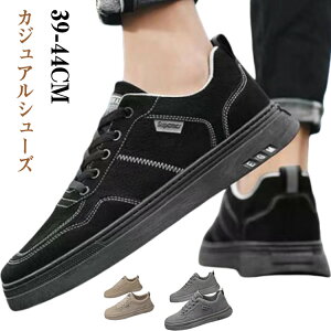 V[Y [Jbg JWA Y Xj[J[ Vv ꂢ JWAV[Y amC j EH[LOV[Y ₷ ₷ ɂ ʋ ʊw i x 