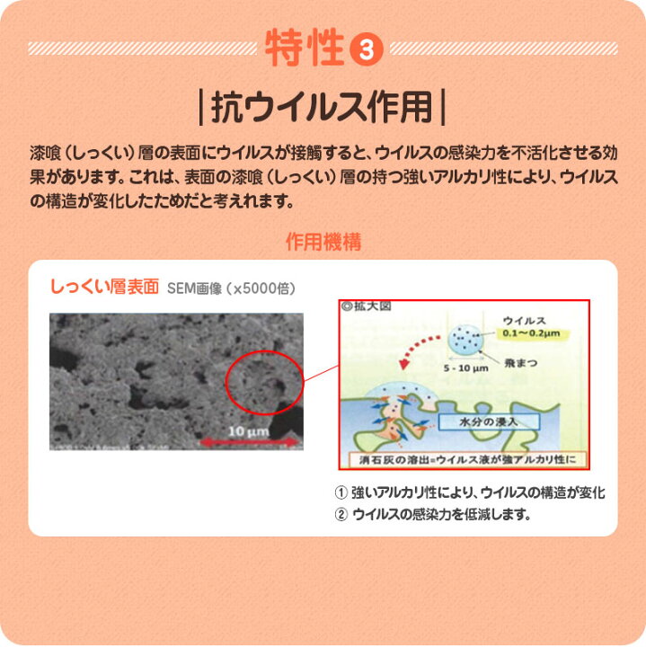 楽天市場】【貼るだけ簡単ウイルス対策シール A4サイズ】 ウイルス 