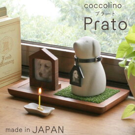 『Prato』 coccolino ステージ 日本製 コッコリーノ プラート 八木研