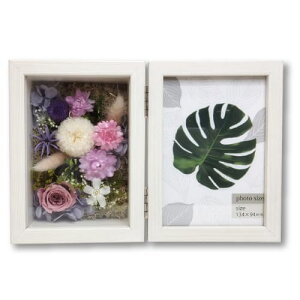 F̃tHgX^h AeB[N tHgt[ ʐ^ Mtg 蕨 p