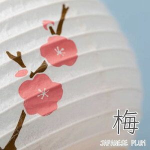~ wRe JAPAN --x~ z e  ܂  ~j܂ ~ ~ V~ ~   ~j ~j  G LED R[hX  킢  k ~j