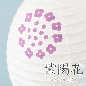 ~ wRe JAPAN --x~ z e  ܂  ~j܂ ~ ~ V~ ~   ~j ~j  G LED R[hX  킢  k ~j