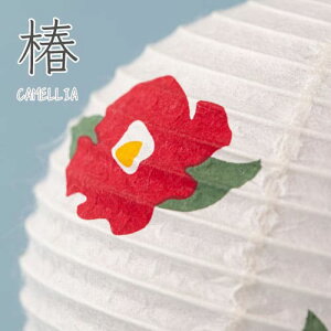 ~ wRe JAPAN --x~ z e  ܂  ~j܂ ~ ~ V~ ~   ~j ~j  G LED R[hX  킢  k ~j