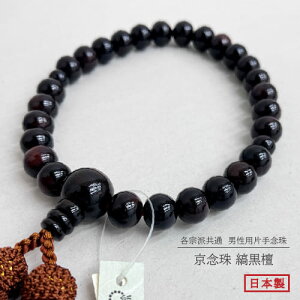  jp 11~ȍh ϔ {  @h ЎO 蕨 Mtg  eq oy䂤pPbgzz