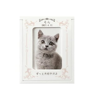 yv[gtzakashi@ABOX {bNX I[_[Ch ybg d