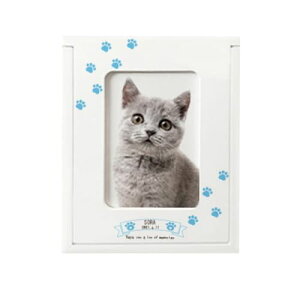 yv[gtzakashi@ABOX {bNX I[_[Ch ybg d