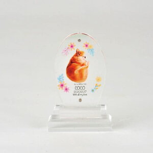 yv[gtzakashi@AANʔv  I[o^ I[_[Ch