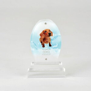 yv[gtzakashi@AANʔv  I[o^ I[_[Ch