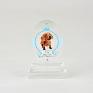 yv[gtzakashi@AANʔv  I[o^ I[_[Ch