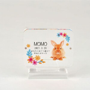 yv[gtz akashi@AANʔv lp^ I[_[Ch