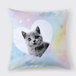 yv[gtzakashi@ANbVJo[ I[_[Ch ʐ^vg