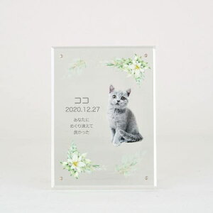 yv[gtz akashi@AANʐ^  cp^ tHgt[ ʐ^vg