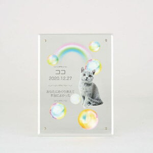 yv[gtz akashi@AANʐ^  cp^ tHgt[ ʐ^vg