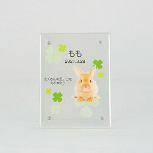 yv[gtz akashi@AANʐ^  cp^ tHgt[ ʐ^vg