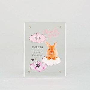 yv[gtz akashi@AANʐ^  cp^ tHgt[ ʐ^vg