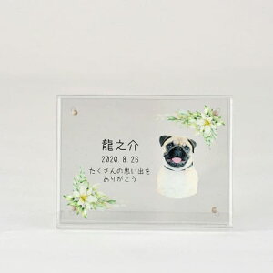 yv[gtz akashi@AANʐ^ ቡ^ tHgt[ ʐ^vg