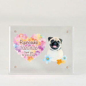 yv[gtz akashi@AANʐ^ ቡ^ tHgt[ ʐ^vg