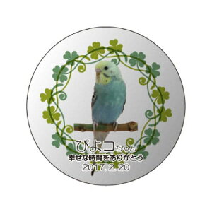 yKPV[Y NX^ʔvijijz I[_[Ch ʐ^vg CXg[