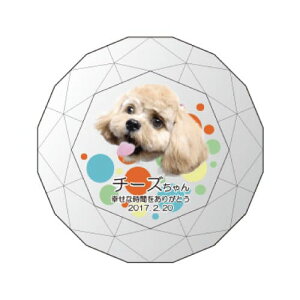 yv[gtzyKPV[Y NX^ʔvijijijz I[_[Ch ʐ^vg CXg[