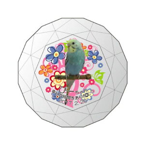 yv[gtzyKPV[Y NX^ʔvijijijz I[_[Ch ʐ^vg CXg[