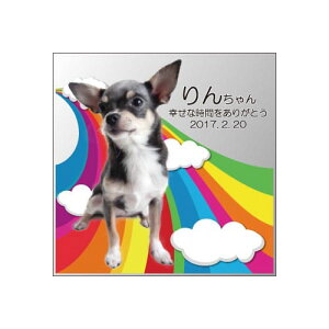 yKPV[Y NX^ʔvijijzI[_[Ch ʐ^vg