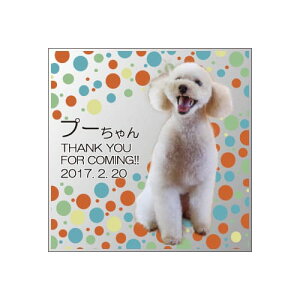 yKPV[Y NX^ʔvijijzI[_[Ch ʐ^vg