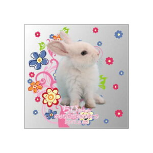 yKPV[Y NX^ʔvijijzI[_[Ch ʐ^vg