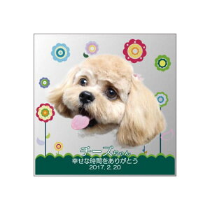 yKPV[Y NX^ʔvijijzI[_[Ch ʐ^vg