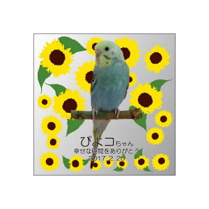 yKPV[Y NX^ʔvijijzI[_[Ch ʐ^vg