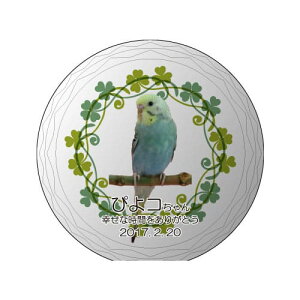 yKPV[Y NX^ʔvijijz I[_[Ch ʐ^vg CXg[