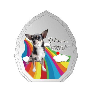 yKPV[Y NX^ʔvijijijz I[_[Ch ʐ^vg CXg[