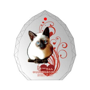 yKPV[Y NX^ʔvijijijz I[_[Ch ʐ^vg CXg[