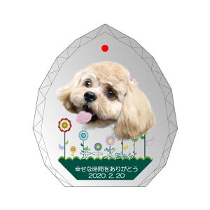 yKPV[Y NX^ʔvijijijz I[_[Ch ʐ^vg CXg[