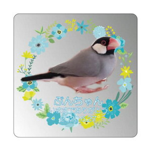 yv[gtzyKPV[Y NX^ʔvijijz ʔv I[_[Ch