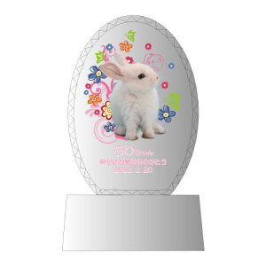 yKPV[Y NX^ʔvijijijijz NX^ ʔv I[_[Ch