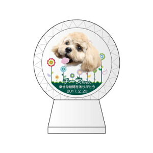 yv[gtzyKPV[Y NX^ʔvijijijz