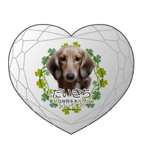 yKPV[Y NX^ʔvijijz I[_[Ch ʐ^vg CXg[ Y NA