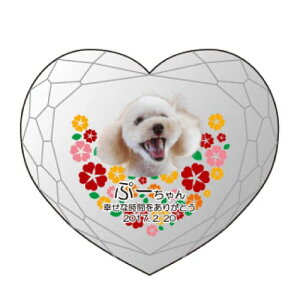 yKPV[Y NX^ʔvijijz I[_[Ch ʐ^vg CXg[ Y NA