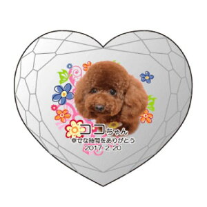 yKPV[Y NX^ʔvijijz I[_[Ch ʐ^vg CXg[ Y NA