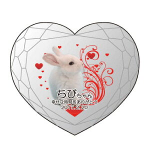 yKPV[Y NX^ʔvijijz I[_[Ch ʐ^vg CXg[ Y NA