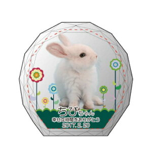 yKPV[Y NX^ʔvijijijz I[_[Ch ʐ^vg CXg[