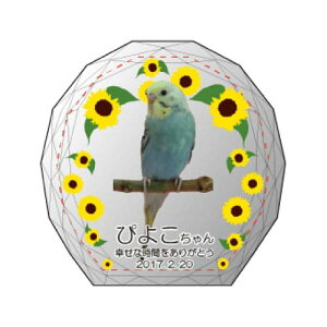 yKPV[Y NX^ʔvijijijz I[_[Ch ʐ^vg CXg[