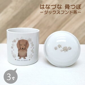 y݌Ɍ30OFFzsuyarin  y͂ȂÂ  [3]z _bNXth _bNX