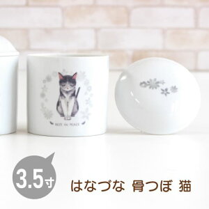 y݌Ɍ30OFFzsuyarin  y͂ȂÂ  [3.5]z L~bNX O[