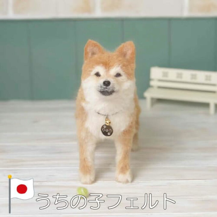楽天市場】【プレゼント付き】羊毛フェルト うちの子フェルト 【お渡し  