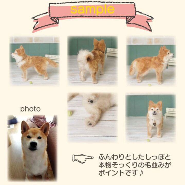 楽天市場】【プレゼント付き】羊毛フェルト うちの子フェルト 【お渡し 