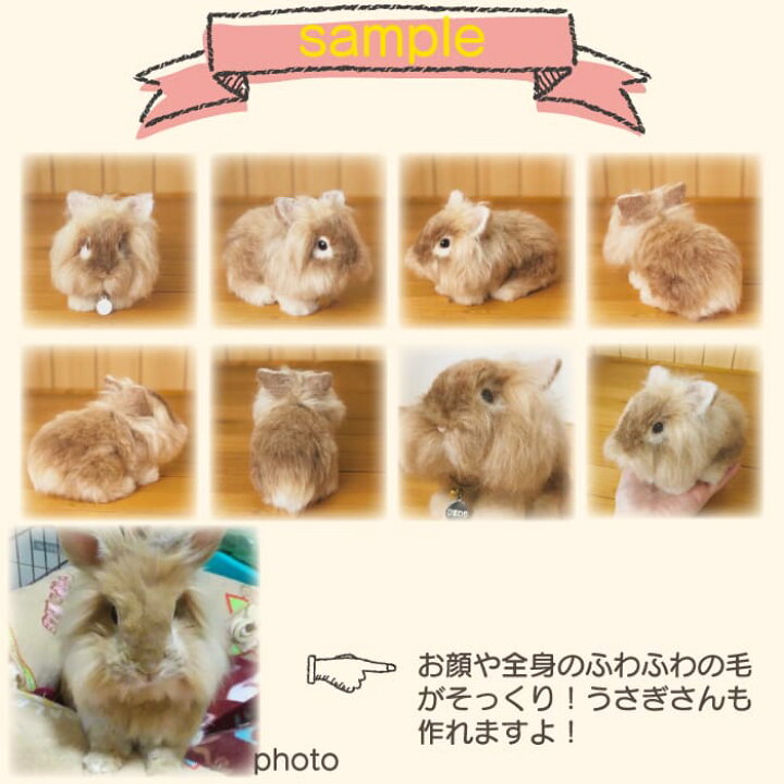 楽天市場】【プレゼント付き】羊毛フェルト うちの子フェルト 【お渡し 