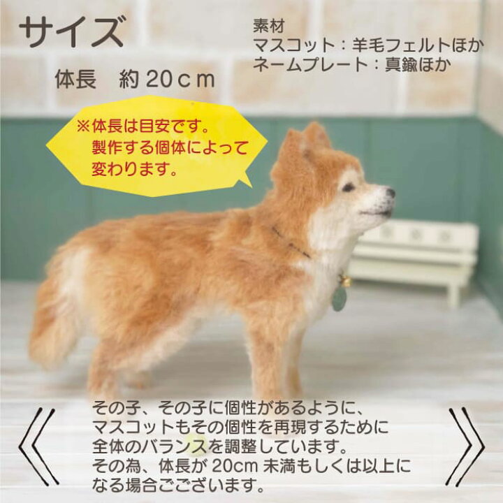 楽天市場】【プレゼント付き】羊毛フェルト うちの子フェルト 【お渡し 