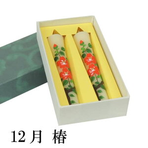 䂤pPbg G낤 2{  ~ ݂  Ҋ z   H ǂ e  ؂̉ a낤 菑낤 G߂̉